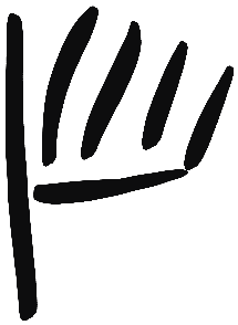 Image of the occurrence